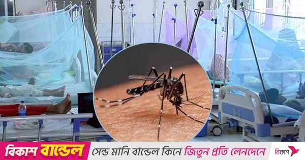 ডেঙ্গুতে আরও ৫ জনের মৃত্যু, হাসপাতালে ভর্তি ১১৬২