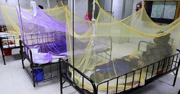 ডেঙ্গুতে ২৪ ঘণ্টায় মৃত্যু নেই, হাসপাতালে ৪৮৮