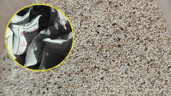 পাকিস্তান থেকে এল নিষিদ্ধ পণ্য, পাখির খাবারের আড়ালে চট্টগ্রাম বন্দরে সাড়ে ছয় কোটি টাকার পপিবীজ জব্দ