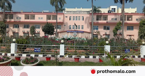 রাজশাহীতে এবার এত বেশি মানুষকে সাপে কাটছে কেন