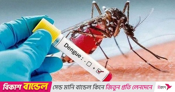 ডেঙ্গুতে মৃত্যুর অর্ধেকের বেশি তরুণ
