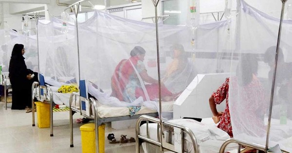 ডেঙ্গুতে আরও ৩ জনের মৃত্যু, হাসপাতালে ৯২৮