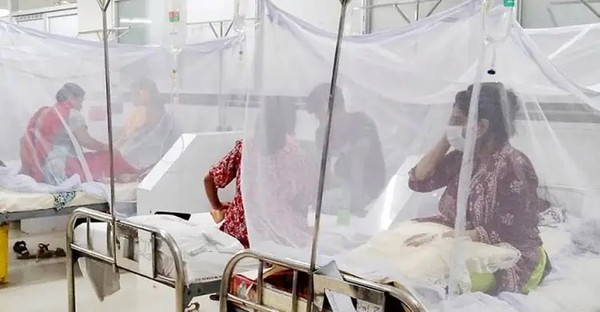ডেঙ্গুতে আক্রান্ত ও মৃত্যু প্রতিদিনই বাড়ছে/ফাইল ছবি





                                    ডেঙ্গুতে একদিনে ঝরলো ১০ প্রাণ
                                


মারা যাওয়া ১০ জনের মধ্যে ঢাকা দক্ষিণ সিটি করপোরেশন এলাকায় ৫ জন, উত্তর সিটি করপোরেশন এলাকায় ৩ জন এবং খুলনা ও বরিশাল বিভাগে একজন করে ২ জন মারা গেছেন...