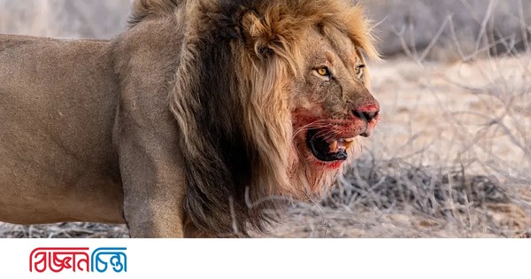 পৃথিবীর যেসব প্রাণীদের মারা প্রায় অসম্ভব
