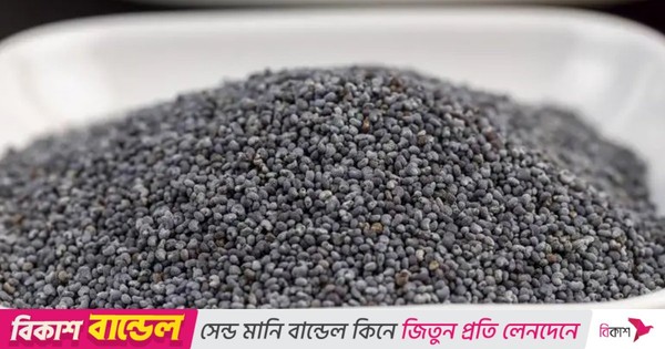 পপি সিড কী, এনিয়ে আইনে কী বলা আছে?