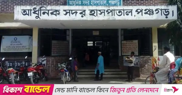 পঞ্চগড়ের বিভিন্ন এলাকায় একযোগে শিয়ালের আক্রমণ, আহত ১১