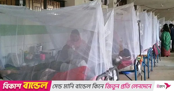 ডেঙ্গুতে আরও ৪ জনের মৃত্যু, হাসপাতালে ভর্তি ১১০১