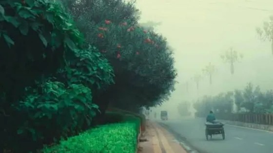 রাজশাহীতে মৌসুমের সর্বনিম্ন তাপমাত্রা ১০ ডিগ্রিরাজশাহীতে বেড়েছে শীতের তীব্রতা। এমন পরিস্থিতিতে রাজশাহীতে মৌসুমের সর্বনিম্ন তাপমাত্রা বিরাজ করছে ১০ দশমিক ২ ডিগ্রি সেলসিয়াস। রাজশাহী আবহাওয়া...