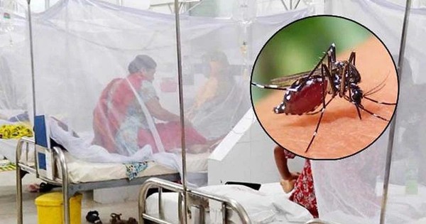 দেশে ডেঙ্গুর প্রকোপ কমছেই না: একদিনে ১০ জনের মৃত্যু, ১০৬৯ জন ভর্তি