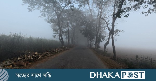 চুয়াডাঙ্গায় হাড় কাঁপানো শীত, বিপর্যস্ত জনজীবন