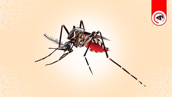 ডেঙ্গুতে একদিনে ১০ জনের মৃত্যু