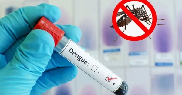 ডেঙ্গু আক্রান্ত হয়ে হাসপাতালে ভর্তি ৫০৬ জন