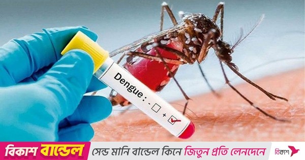 ডেঙ্গুতে আরও ৫ জনের মৃত্যু, হাসপাতালে ভর্তি ১০৩৪