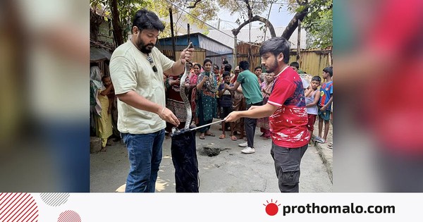 ঢাকায় বিষধর সাপের উপদ্রব আসলে কতটা বেড়েছে, কেন