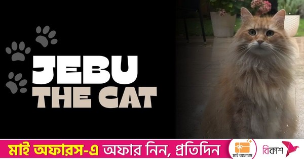 তারেক রহমানের পোষা বিড়াল ‘জেবু’র অফিশিয়াল ফেসবুক পেজ চালু