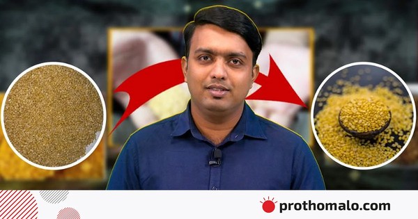 মুগ ডালের নামে বিক্রি হচ্ছে ভারতের ‘মথ’ ডাল, নেপথ্যে কী