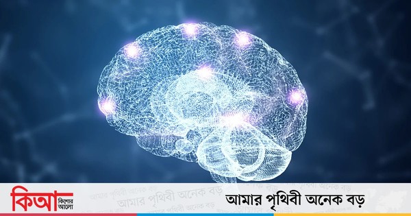 বিজ্ঞানীরা জীবন্ত মগজের মডেল তৈরি করেছেন, সম্ভাবনা অনন্ত