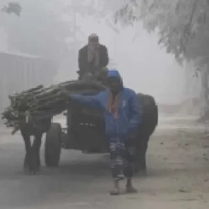 শৈত্যপ্রবাহ না থাকলেও ৩ কারণে বেড়েছে ঠান্ডা