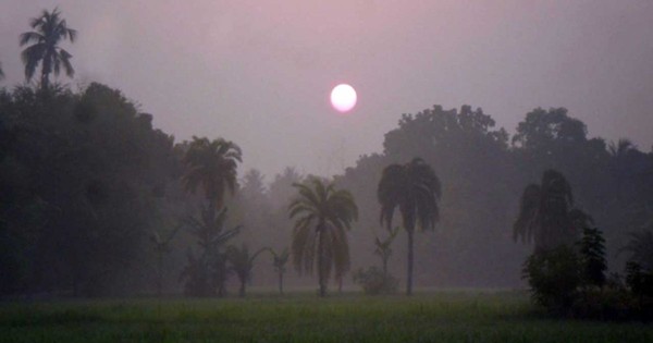 ঢাকাসহ সারা দেশের ৫ দিনের আবহাওয়া পরিস্থিতি জানাল অধিদপ্তর