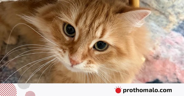 ফেসবুক পোস্ট জেবুকে ঘিরে এত কৌতূহল দেখে অবাক জাইমা রহমান