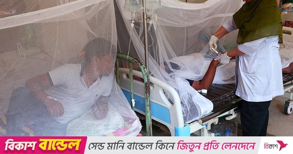ডেঙ্গুতে এ বছর সর্বোচ্চ মৃত্যু দেখলো বাংলাদেশ